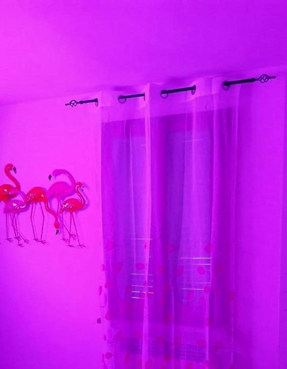 Apartament La Casa Colorata Città di Castello Zewnętrze zdjęcie